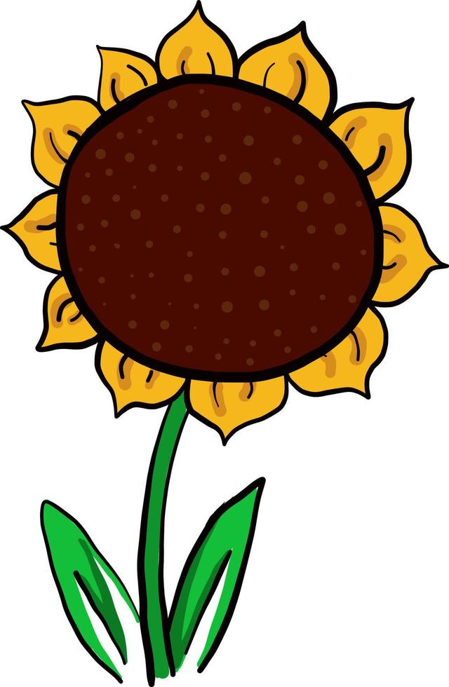 hübsche Sonnenblume, Illustration, Vektor auf weißem Hintergrund.