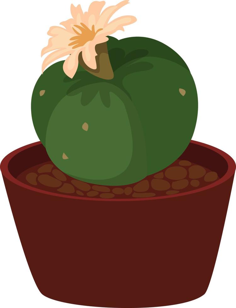 runder Kaktus, Illustration, Vektor auf weißem Hintergrund.