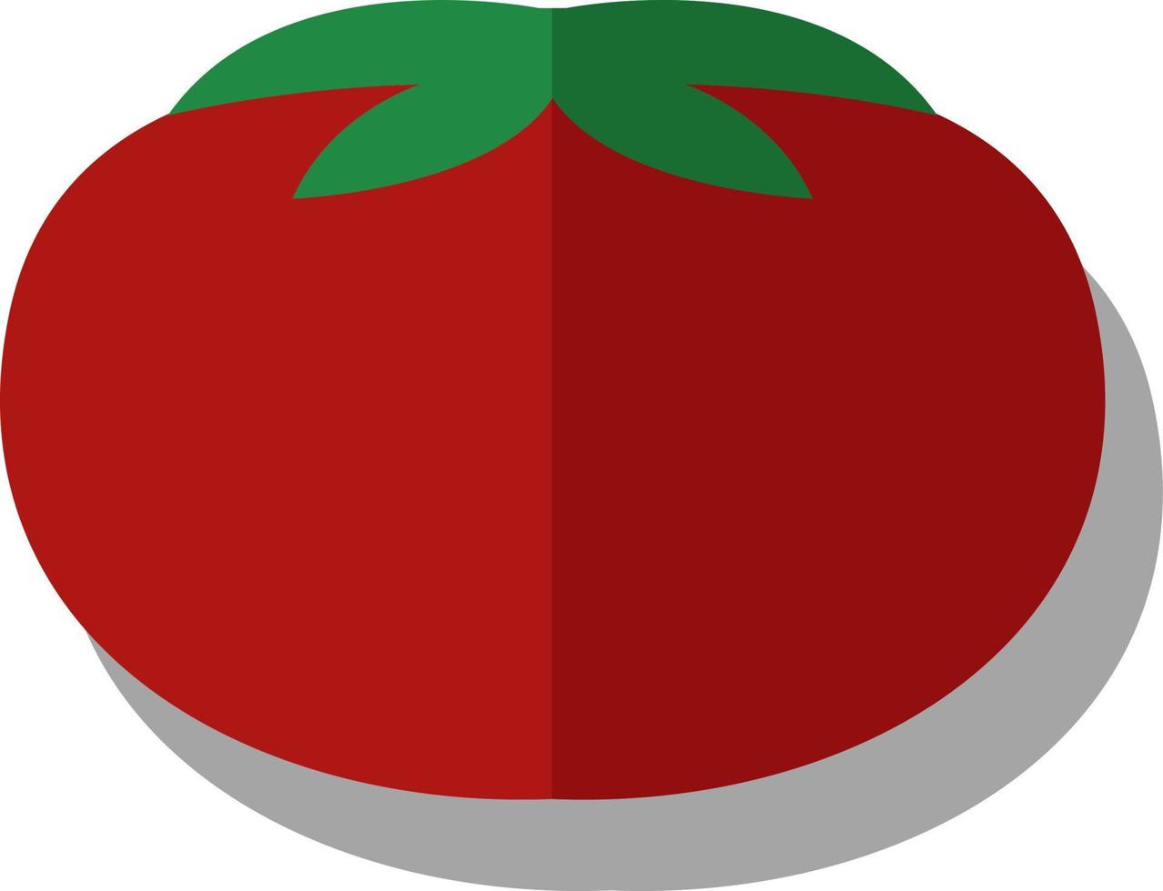 röd tomat, illustration, vektor på vit bakgrund.