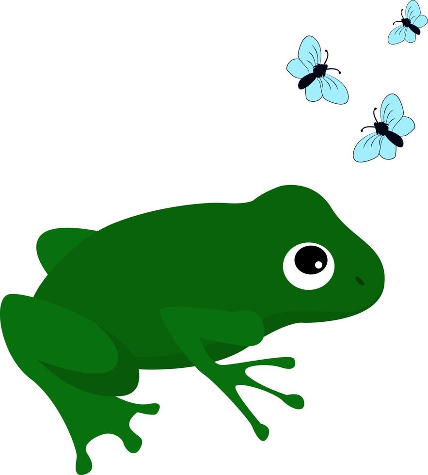 Frosch mit Fliegen, Illustration, Vektor auf weißem Hintergrund.
