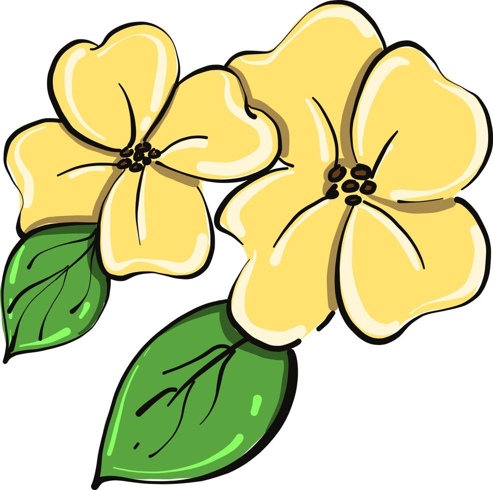 gelbe süße Blume, Illustration, Vektor auf weißem Hintergrund