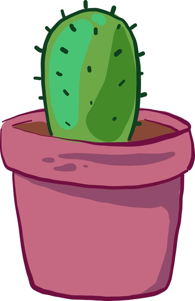kaktus i rosa pott , illustration, vektor på vit bakgrund