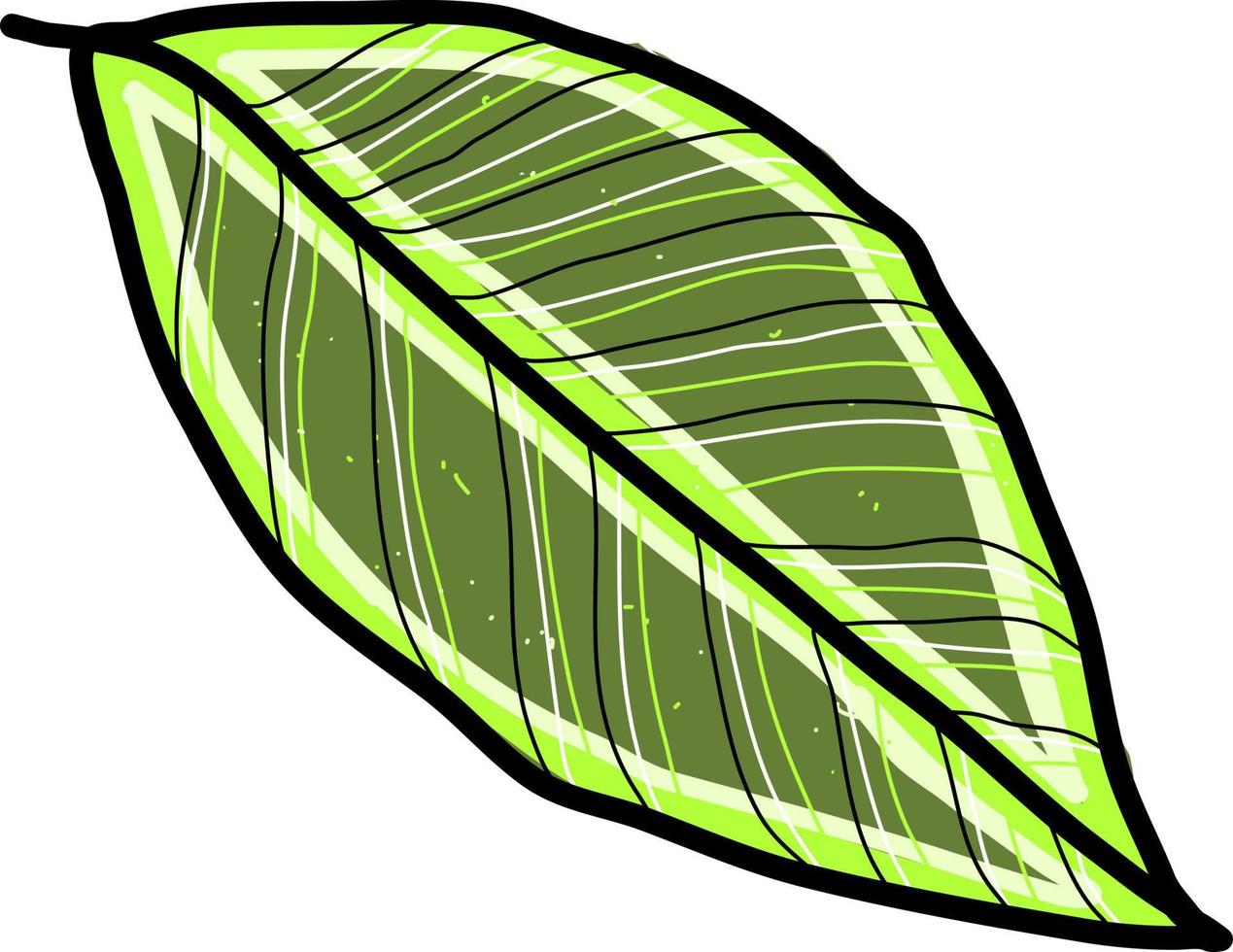 lång grön blad, illustration, vektor på vit bakgrund.