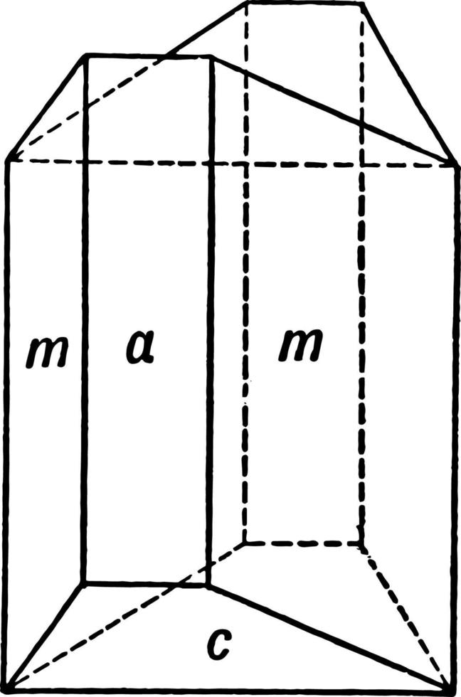 malachit vintage illustration. vektor