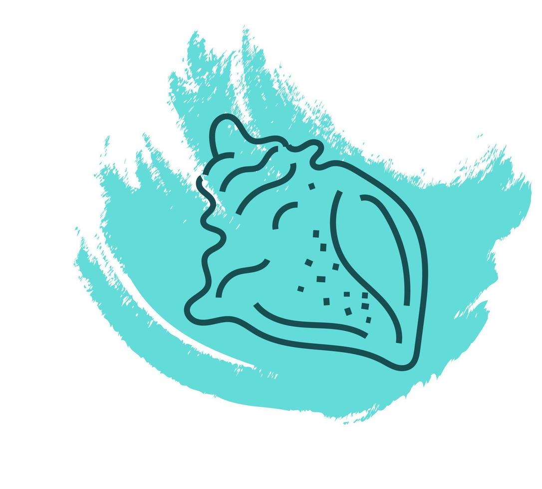 Atlantische Feigenschnecke Muschel, Symbolabbildung, Vektor auf weißem Hintergrund