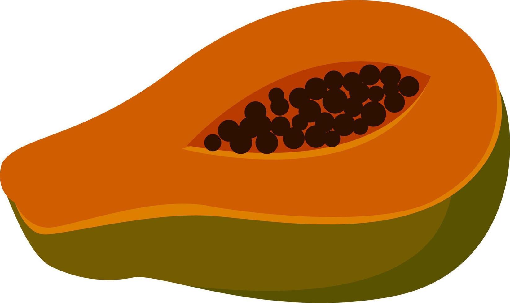 papaya, illustration, vektor på vit bakgrund.