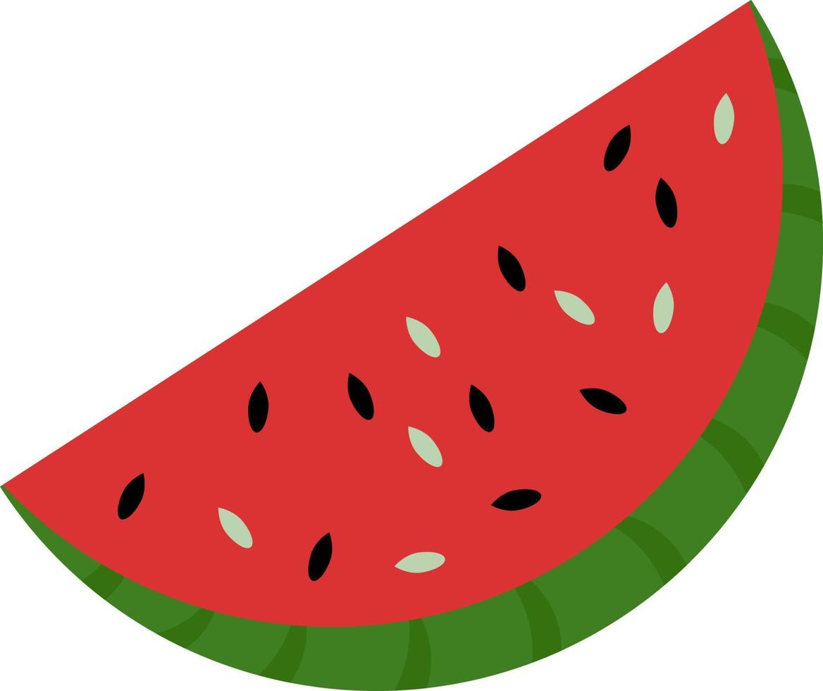 färsk vattenmelon, illustration, vektor på vit bakgrund.