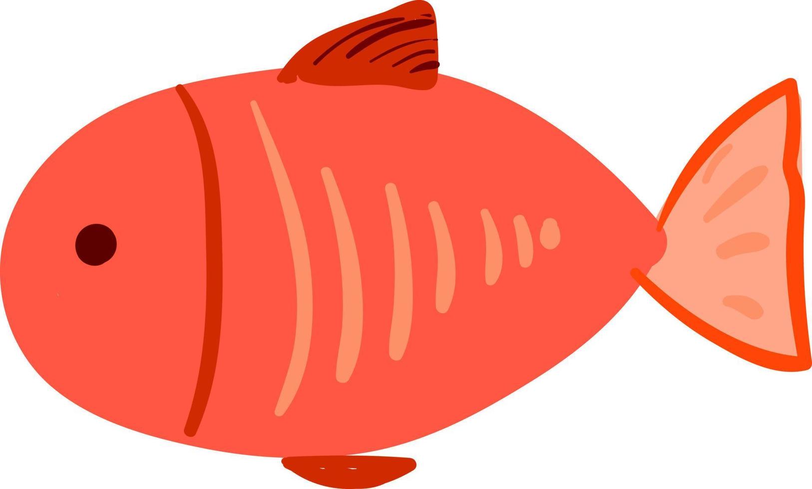 Roter Plattfisch, Illustration, Vektor auf weißem Hintergrund.