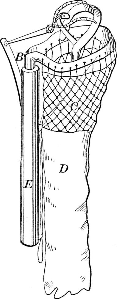 Obstsammler, Vintage Illustration. vektor