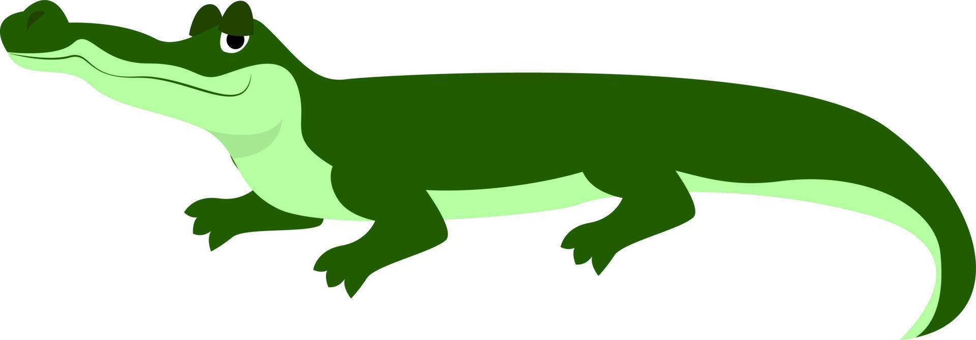 Krokodil, Illustration, Vektor auf weißem Hintergrund.