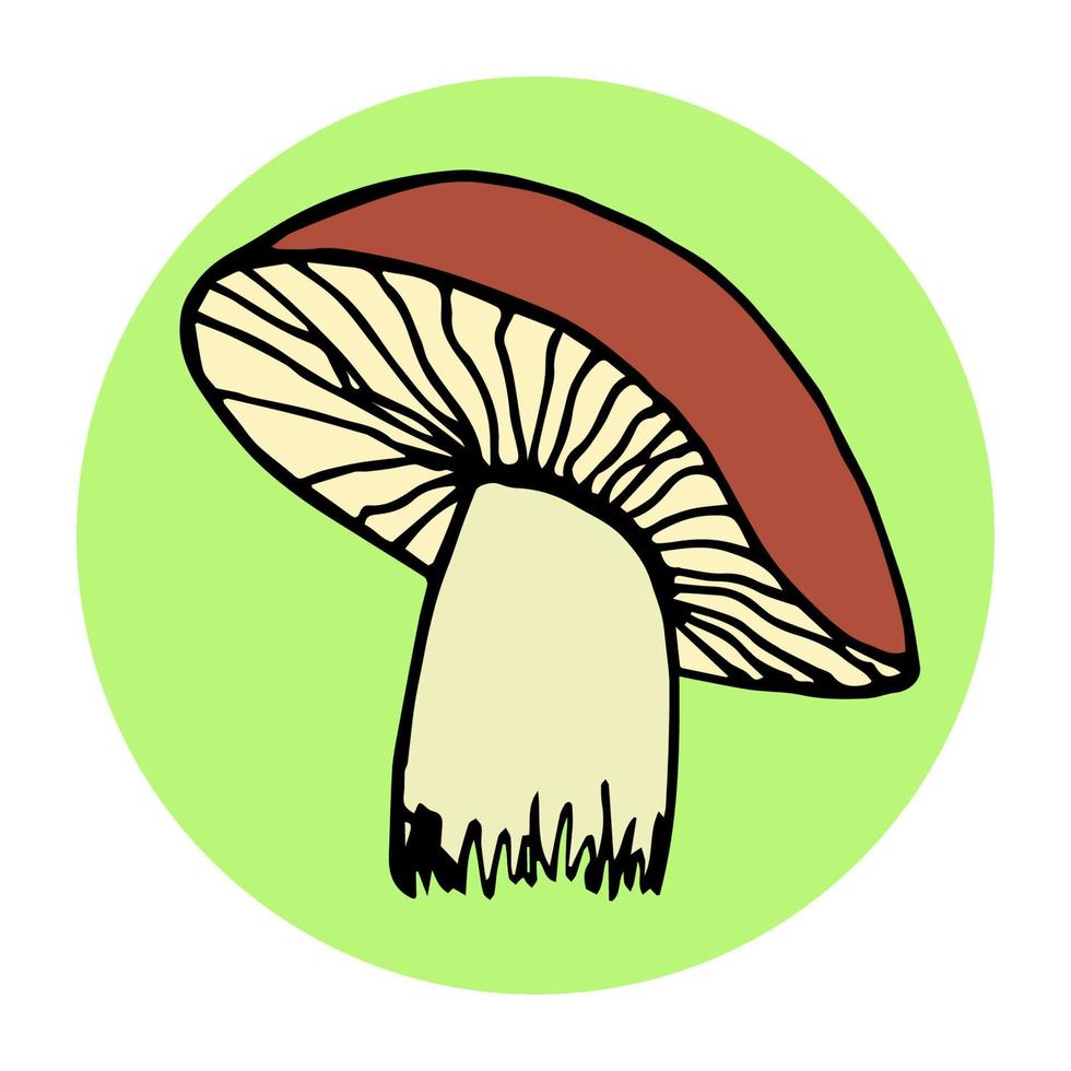ein essbarer Pilz mit einer braunen Kappe, vor dem Hintergrund eines grünen Kreises, Steinpilze. für Drucke, Aufkleber, Etiketten, Waldpflanzen. vegane Produkte, Eiweiß. vektor
