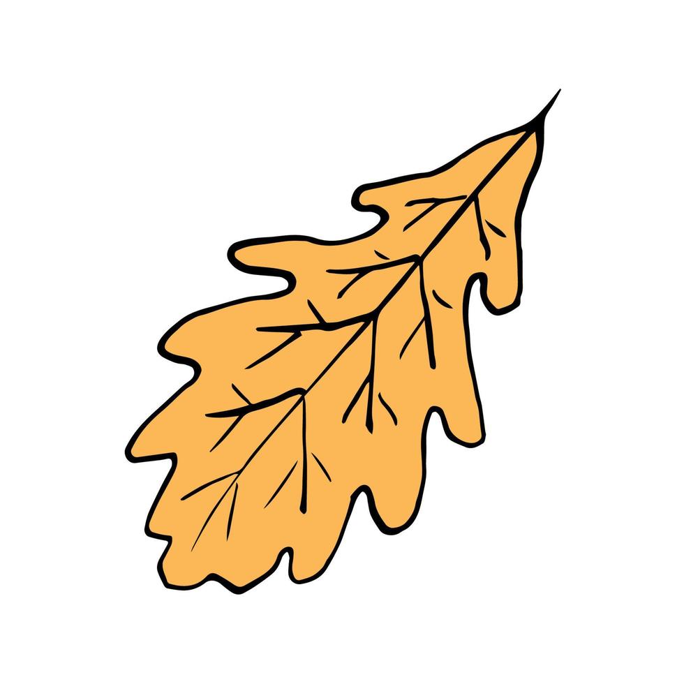 handgezeichnete Vektorfarbskizze. trockenes gelbbraunes Eichenblatt isoliert auf weißem Hintergrund. für Herbstdesign. vektor
