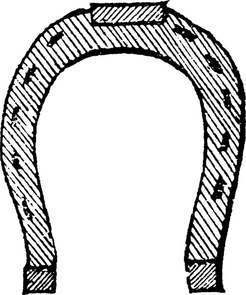 hästsko, årgång illustration. vektor