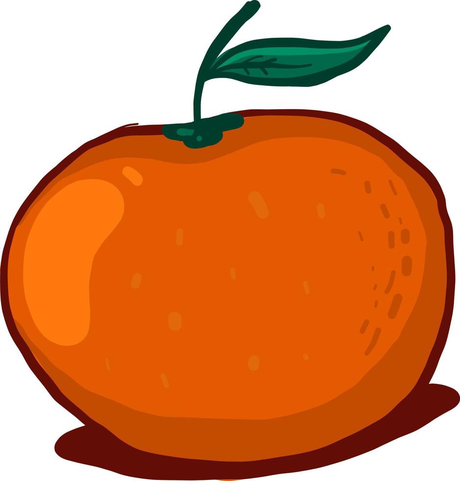 orange mandarin, illustration, vektor på vit bakgrund