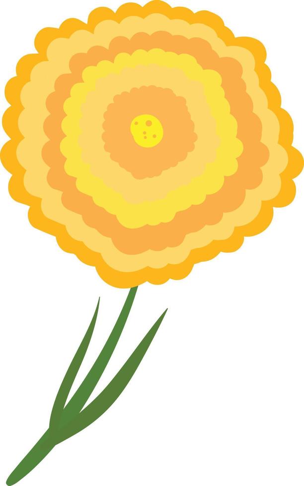 Flache Ringelblume, Illustration, Vektor auf weißem Hintergrund.