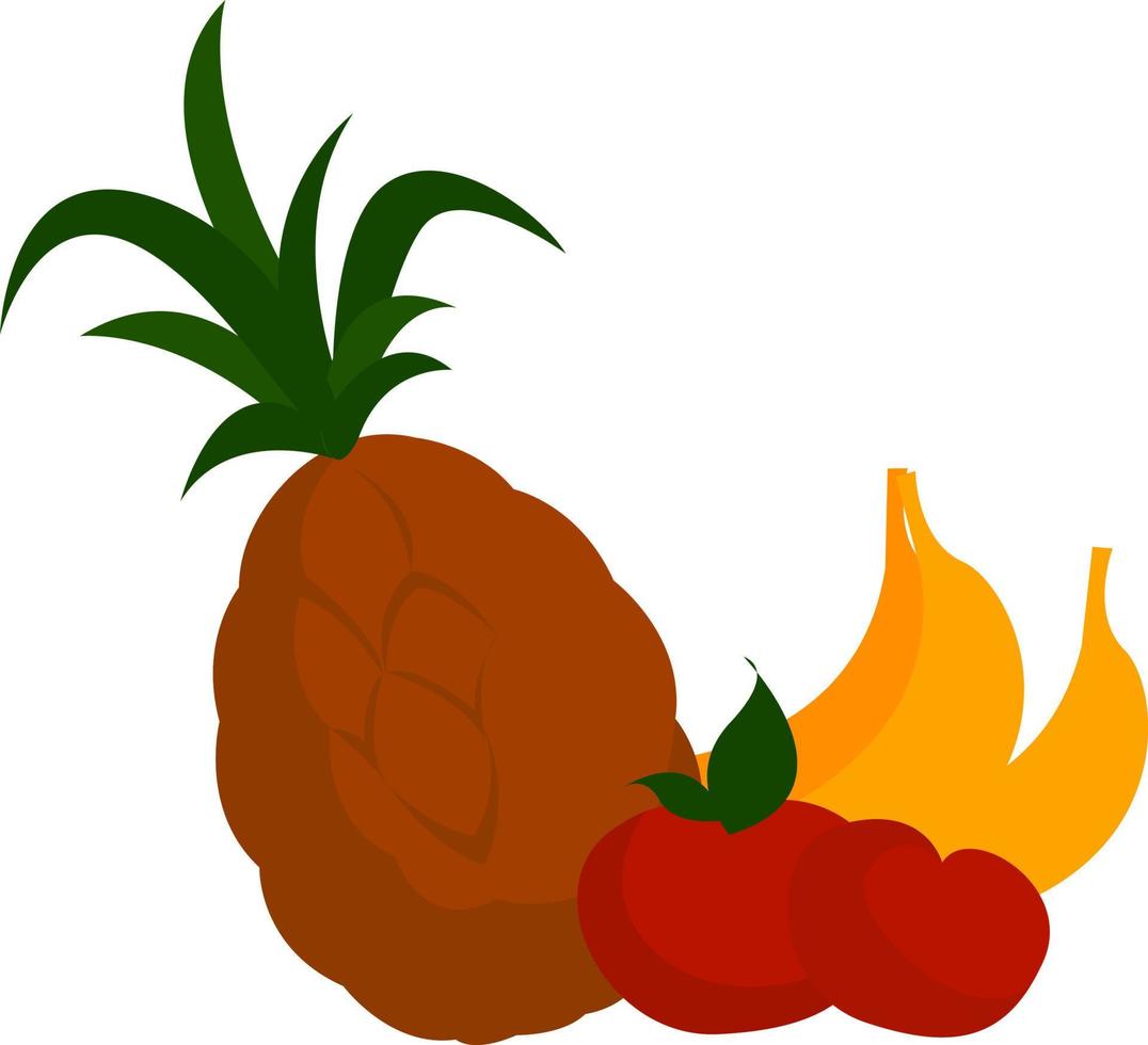 frische tropische Früchte, Illustration, Vektor auf weißem Hintergrund.