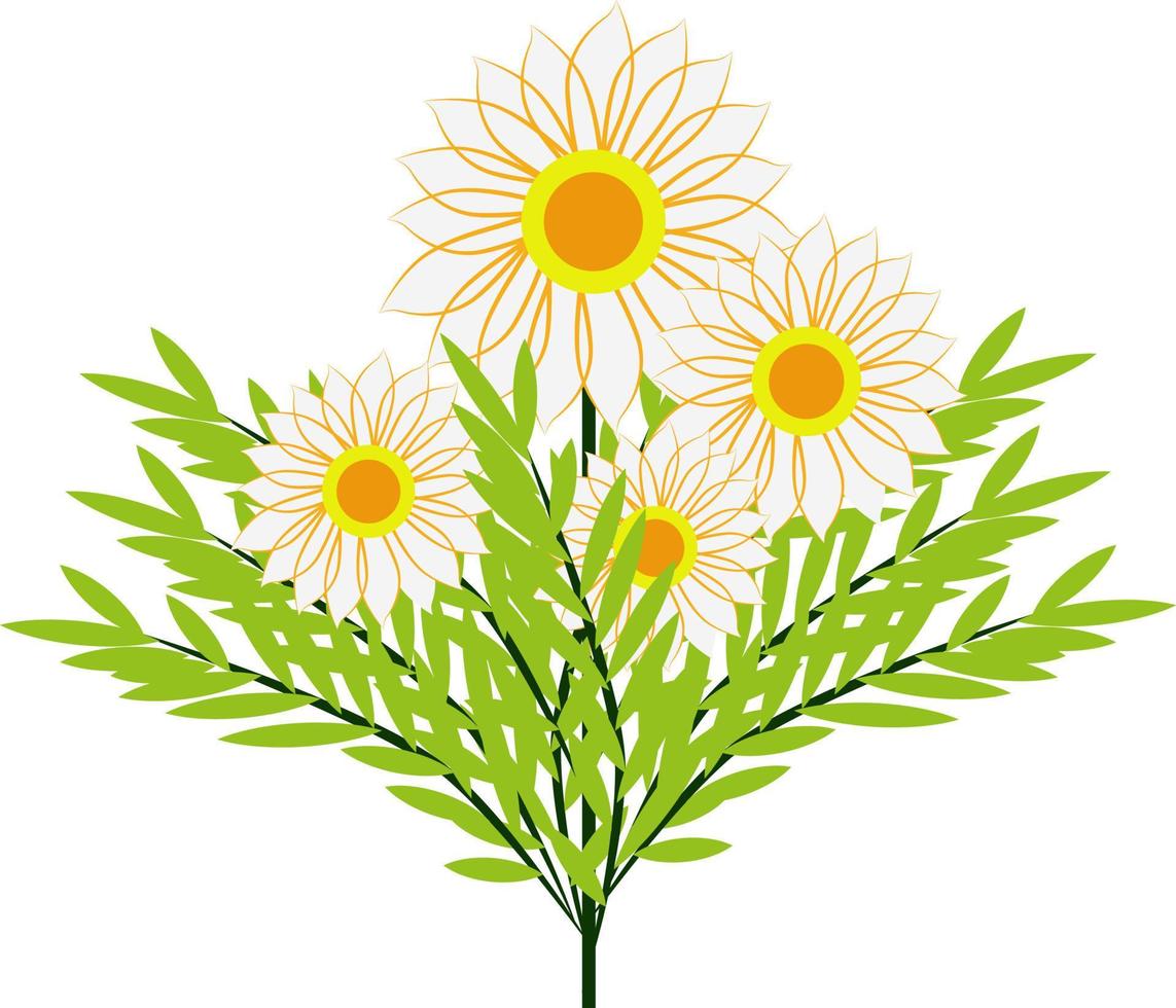 weiße Blumen, Illustration, Vektor auf weißem Hintergrund.