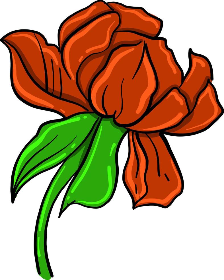 rote Blume, Illustration, Vektor auf weißem Hintergrund