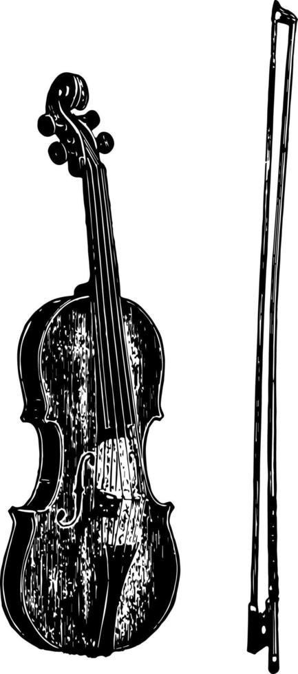 Viola, Vintage-Illustration. vektor