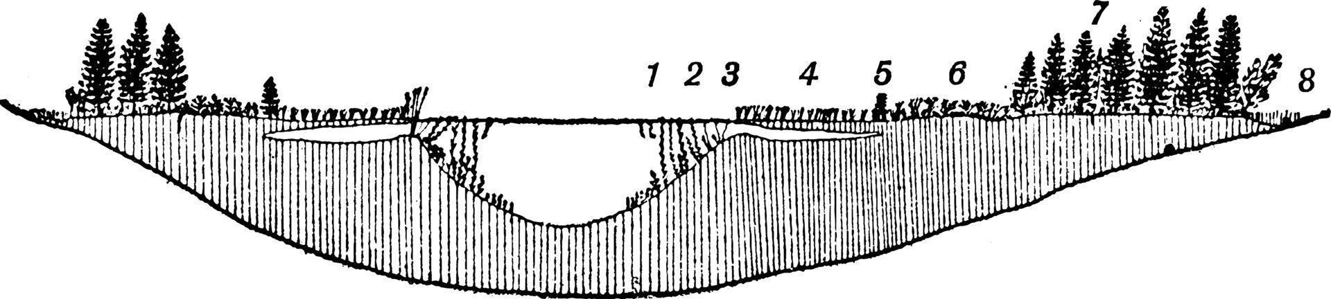 damm, årgång illustration. vektor