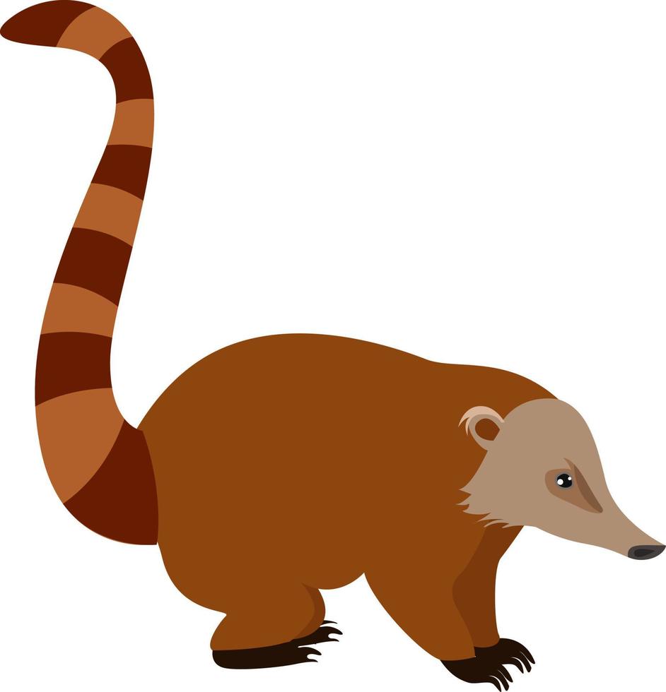 Nasua-Tier, Illustration, Vektor auf weißem Hintergrund
