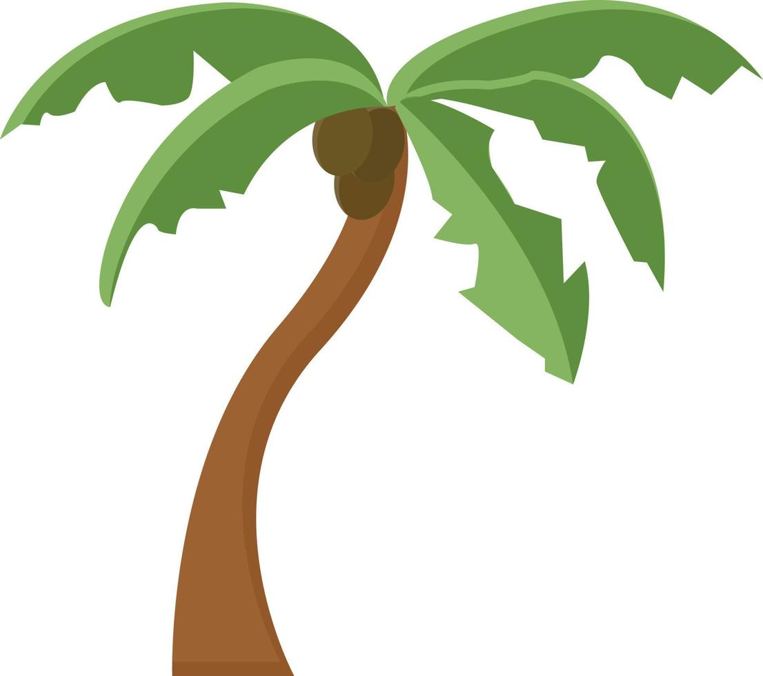 kokos träd, illustration, vektor på vit bakgrund.