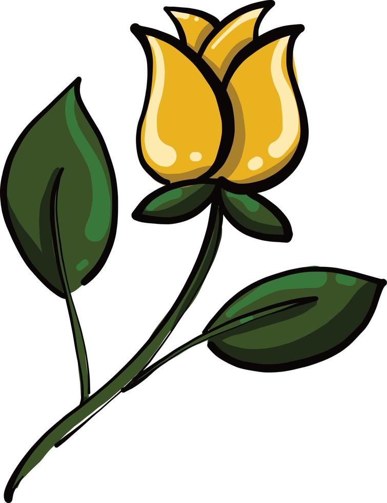 gelbe Rose, Illustration, Vektor auf weißem Hintergrund.