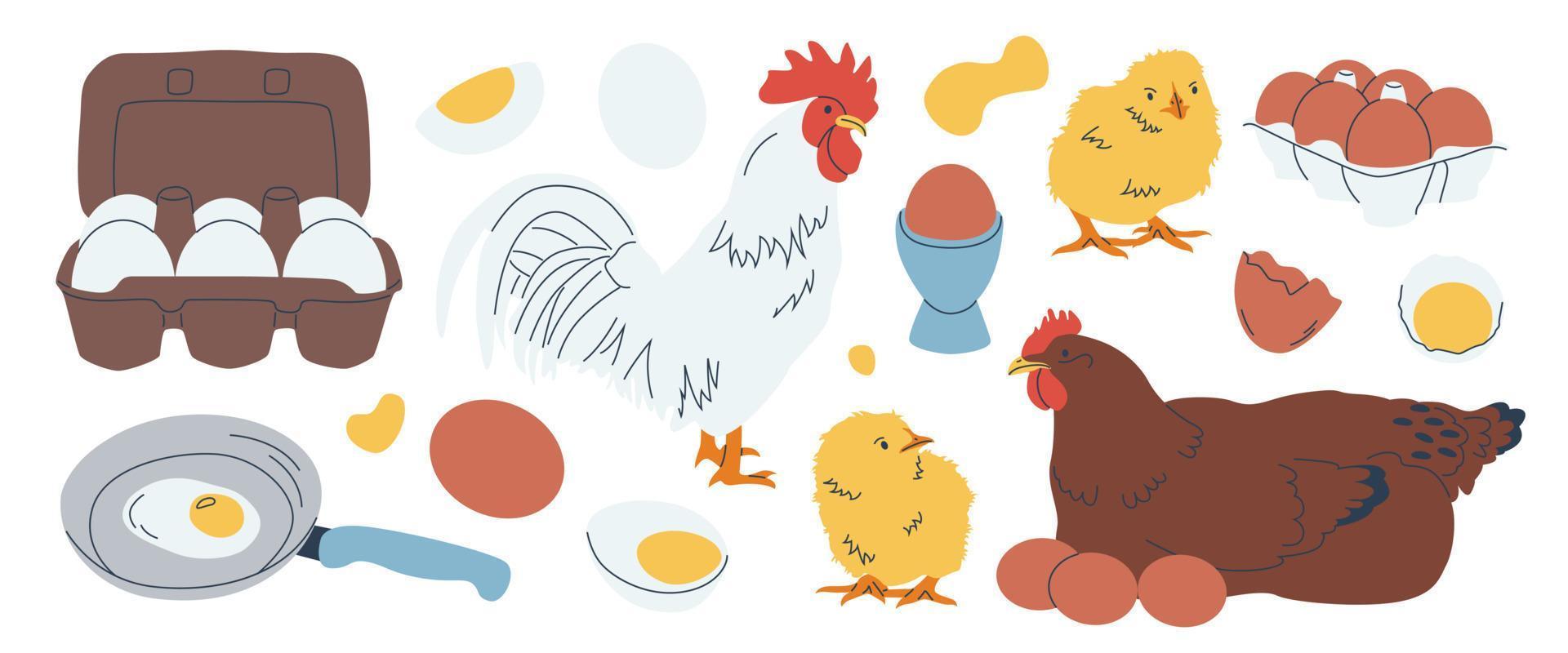 uppsättning av kyckling ägg i kartong lådor, kokt, friterad. inhemsk höna, tupp, kycklingar. ägg med, utan skal. frukost, organisk bruka eco mat. fjäderfän produktion. ras. hand dragen illustration vektor