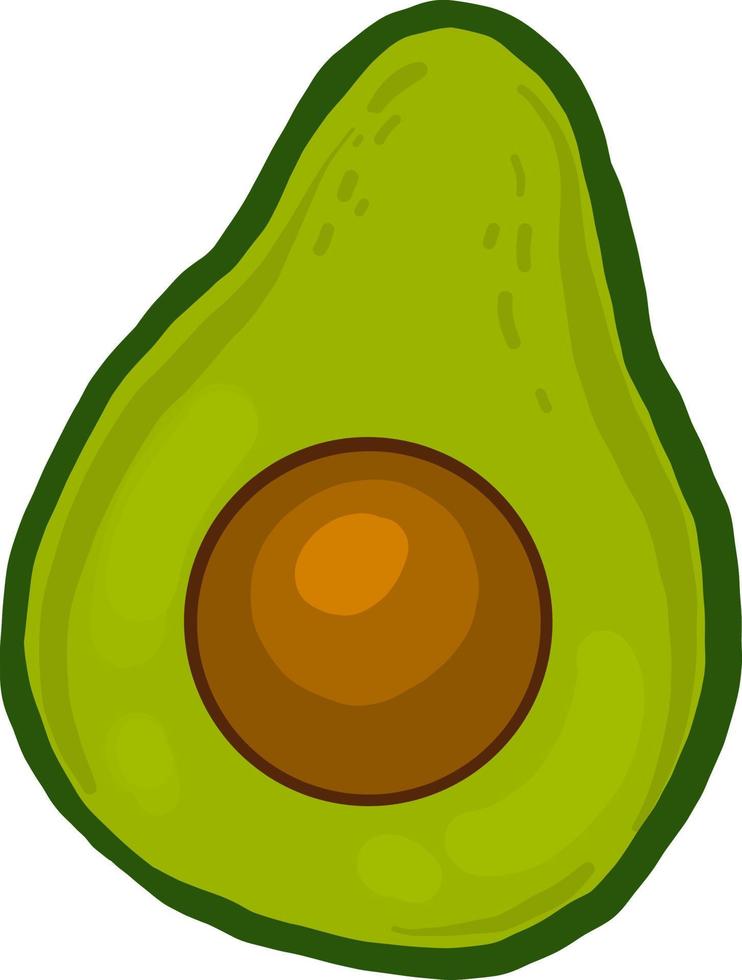 Avocado in zwei Hälften, Illustration, Vektor auf weißem Hintergrund