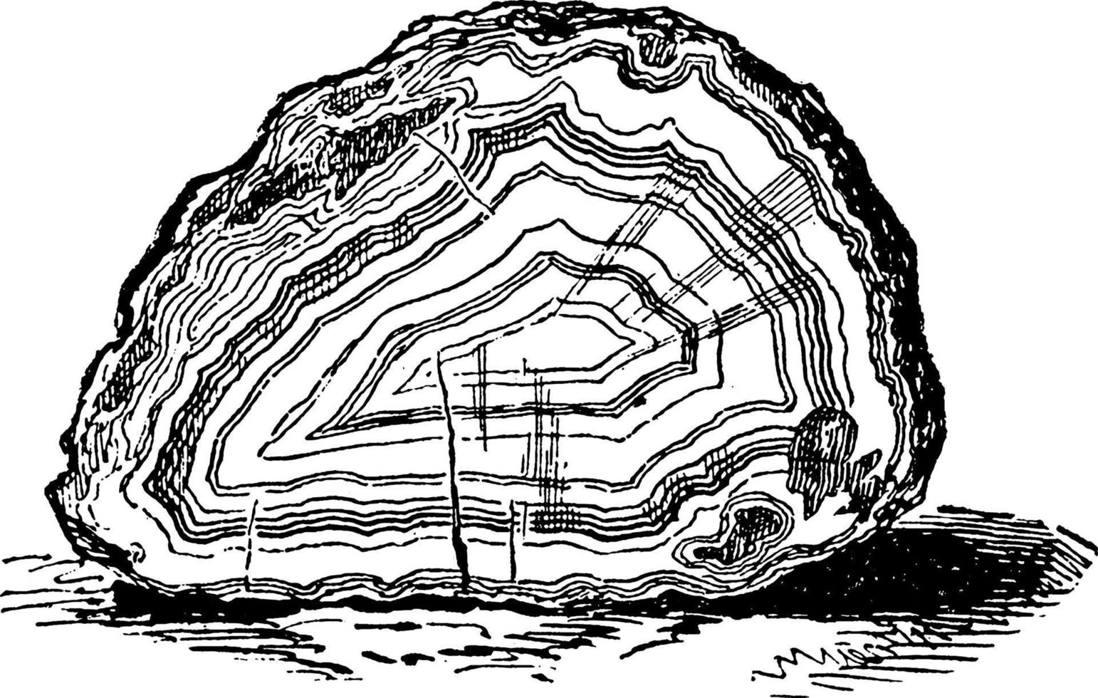 polerad agat, årgång illustration. vektor