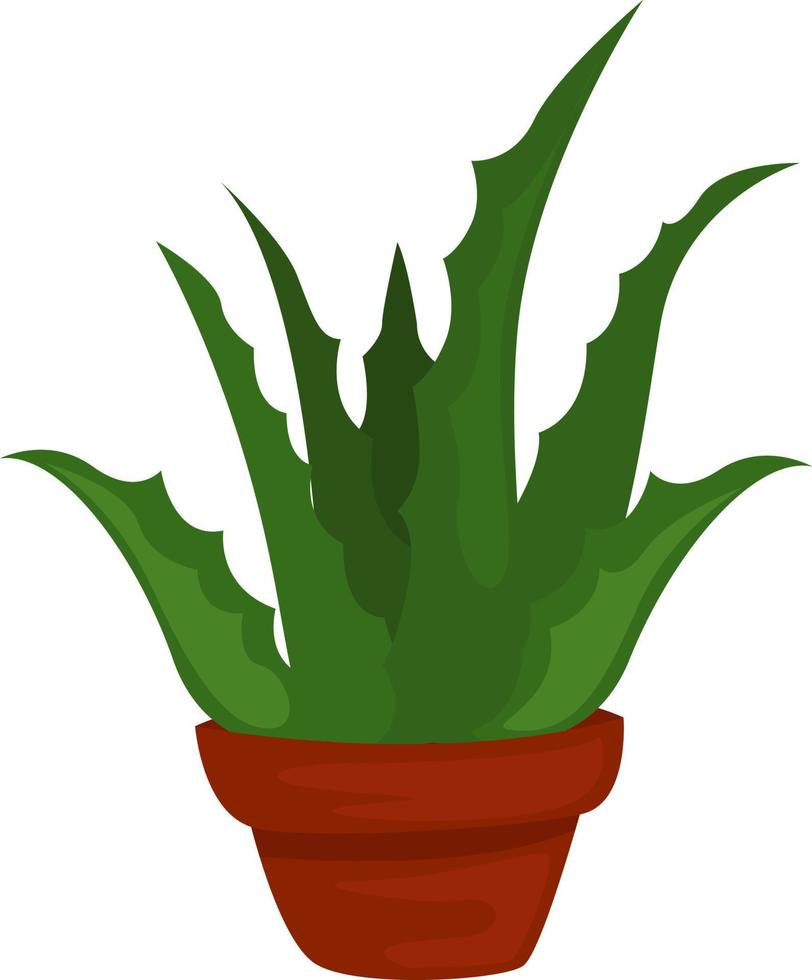 Aloe im Topf, Illustration, Vektor auf weißem Hintergrund