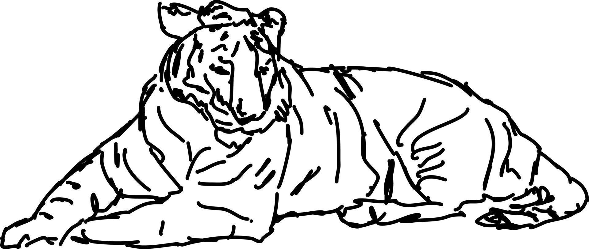 Tigerzeichnung, Illustration, Vektor auf weißem Hintergrund.