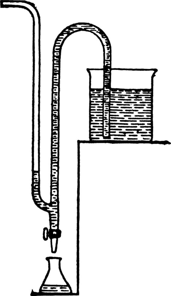 sifon, årgång illustration. vektor