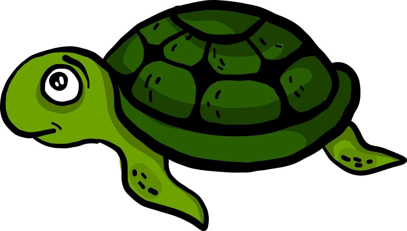 verängstigte grüne Schildkröte, Illustration, Vektor auf weißem Hintergrund.