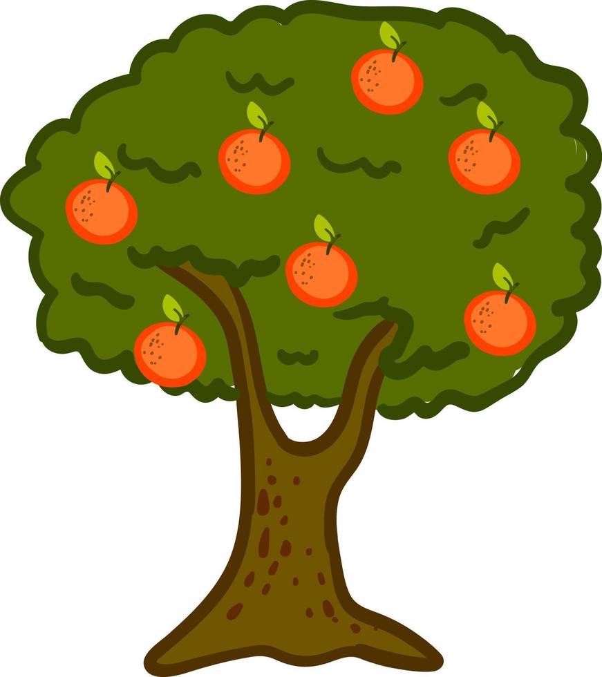 orange träd, illustration, vektor på vit bakgrund