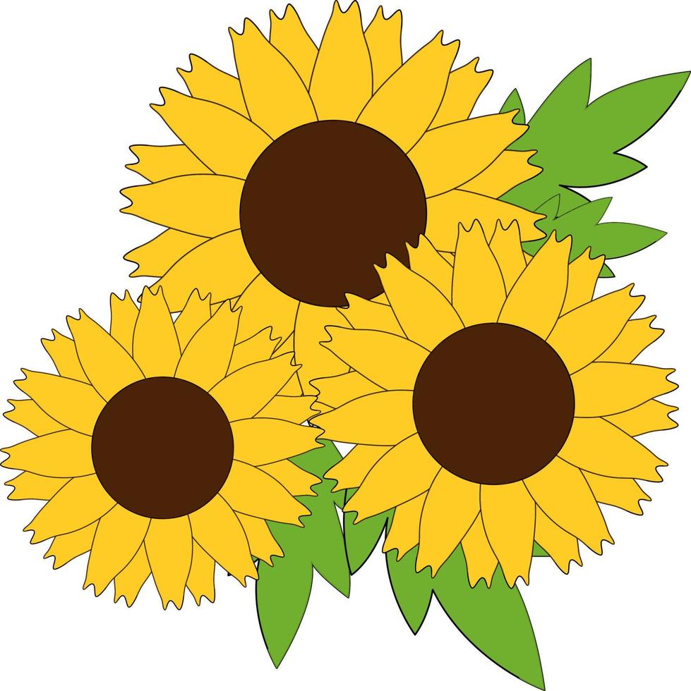 gelbe Sonnenblumen, Illustration, Vektor auf weißem Hintergrund