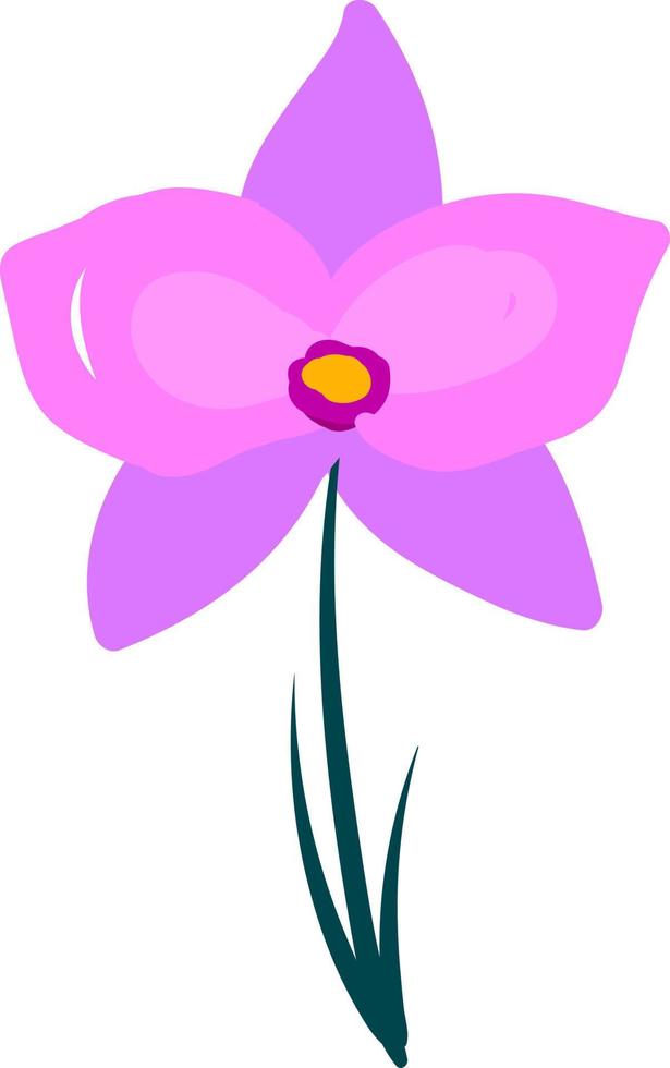 Orchideenblüte, Illustration, Vektor auf weißem Hintergrund.