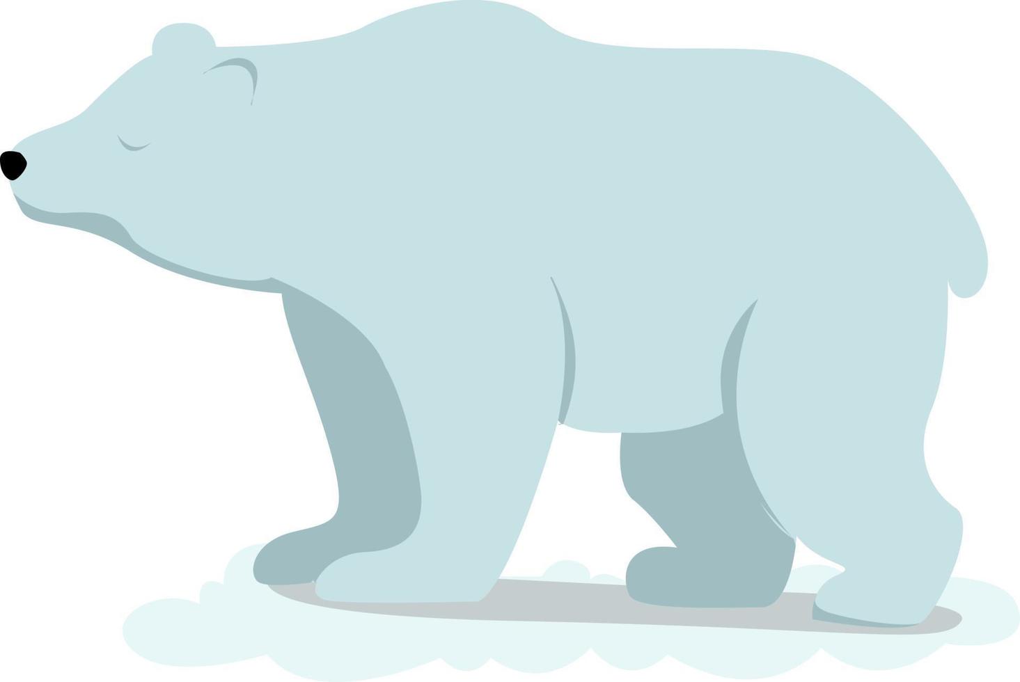 Eisbär, Illustration, Vektor auf weißem Hintergrund.