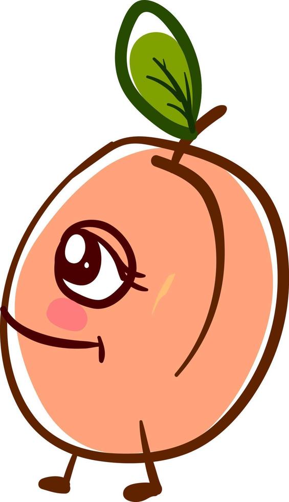 Happy Apricot, Illustration, Vektor auf weißem Hintergrund.