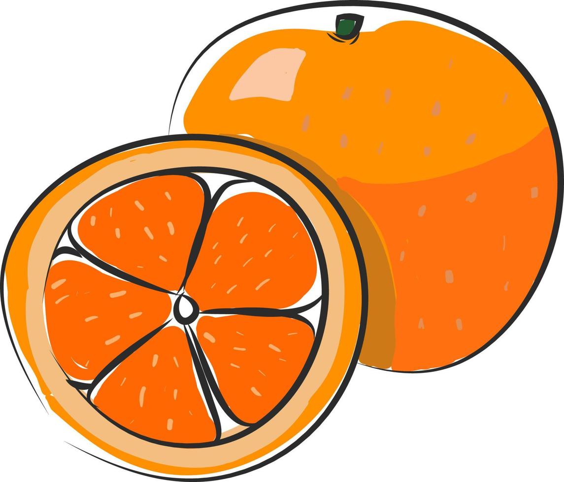 eine leckere Orangen-, Vektor- oder Farbillustration. vektor