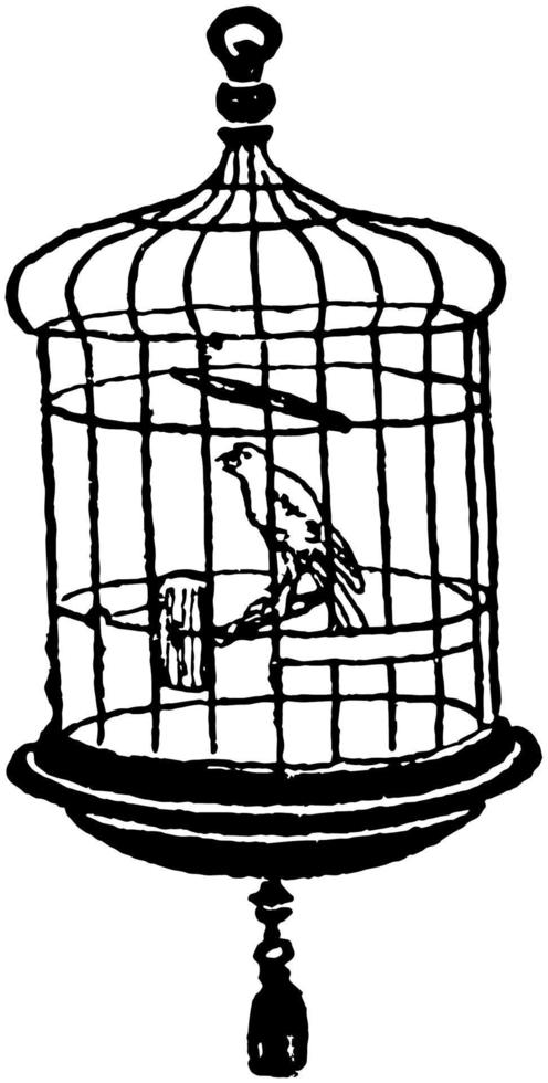 kanariefågel i bur, årgång illustration. vektor