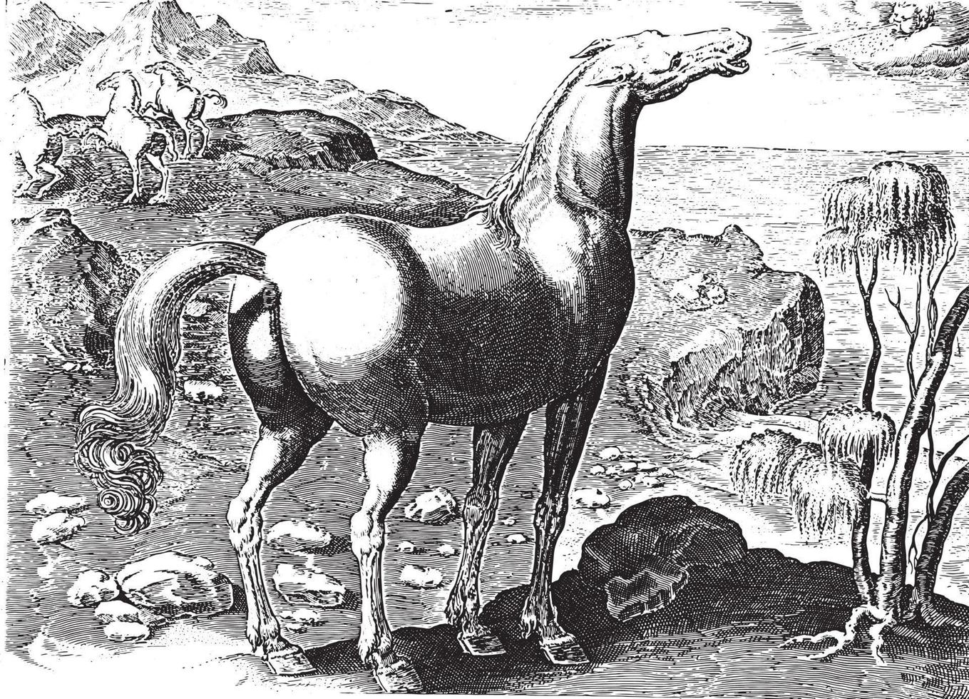 Zephyrus befruchtet eine Stute, Vintage-Illustration. vektor