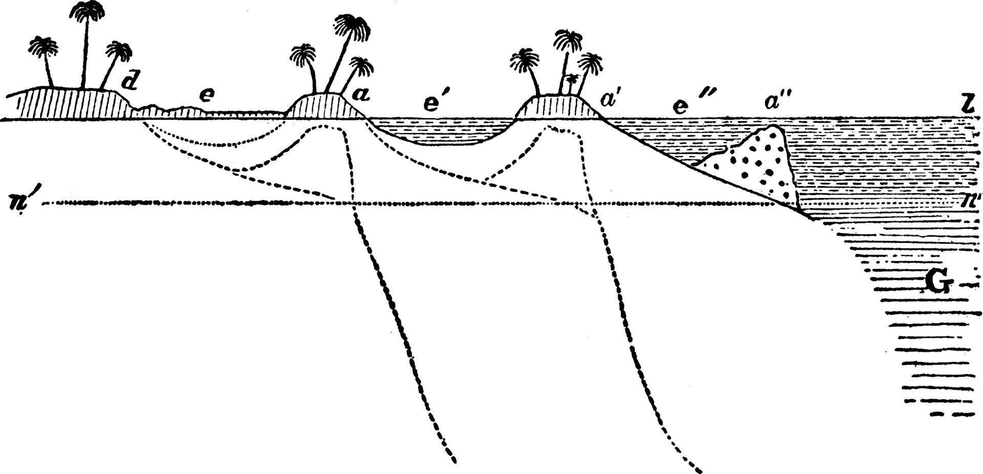 florida Strand, årgång illustration. vektor