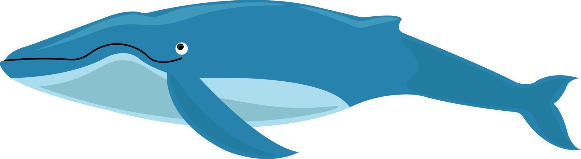 Blauwal, Illustration, Vektor auf weißem Hintergrund.