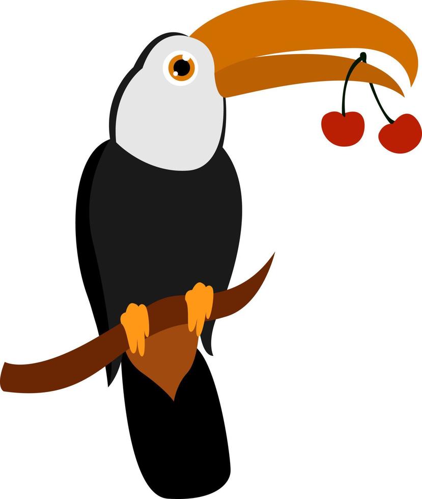 toucan med körsbär, illustration, vektor på vit bakgrund.