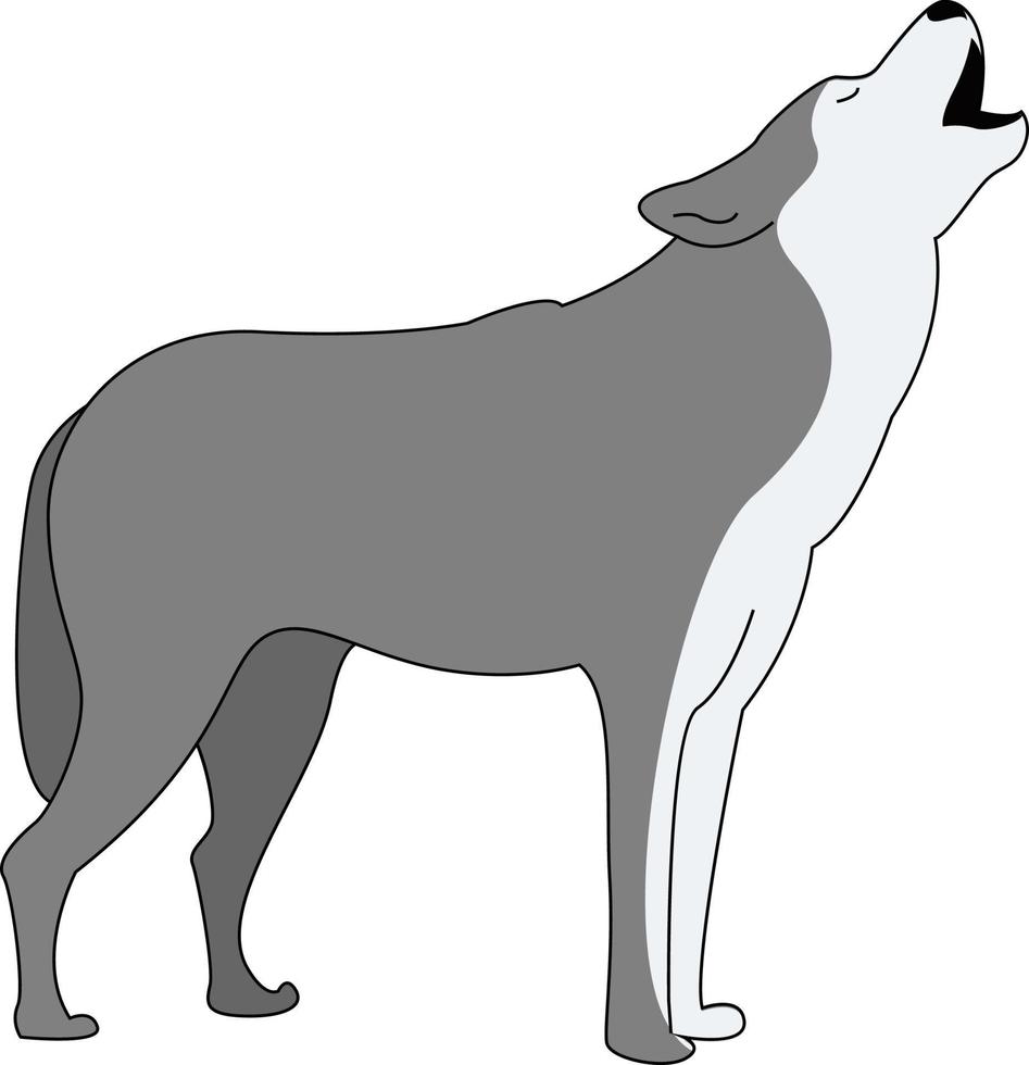 grauer Wolf, Illustration, Vektor auf weißem Hintergrund.