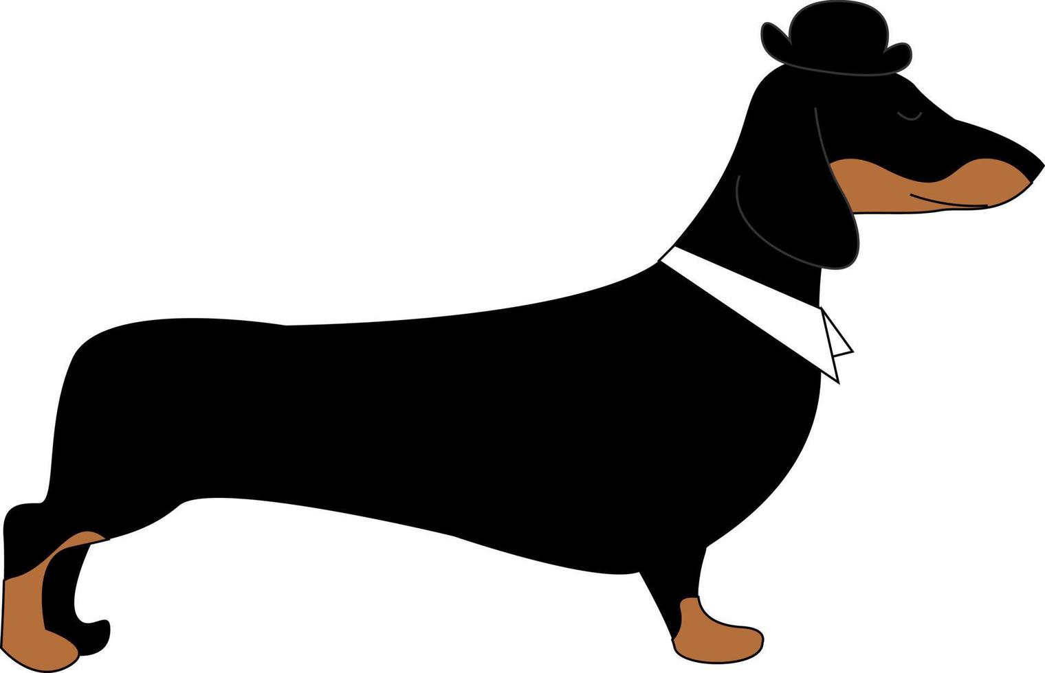 hund med hatt, illustration, vektor på vit bakgrund.