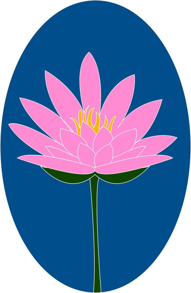 rosa Lotus, Illustration, Vektor auf weißem Hintergrund.