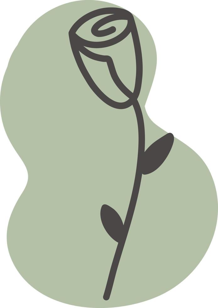 grüne Rose, Illustration, Vektor auf weißem Hintergrund.