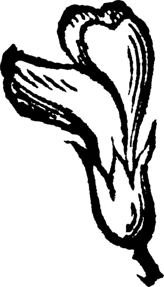 lusern eller blålusern växt årgång illustration. vektor